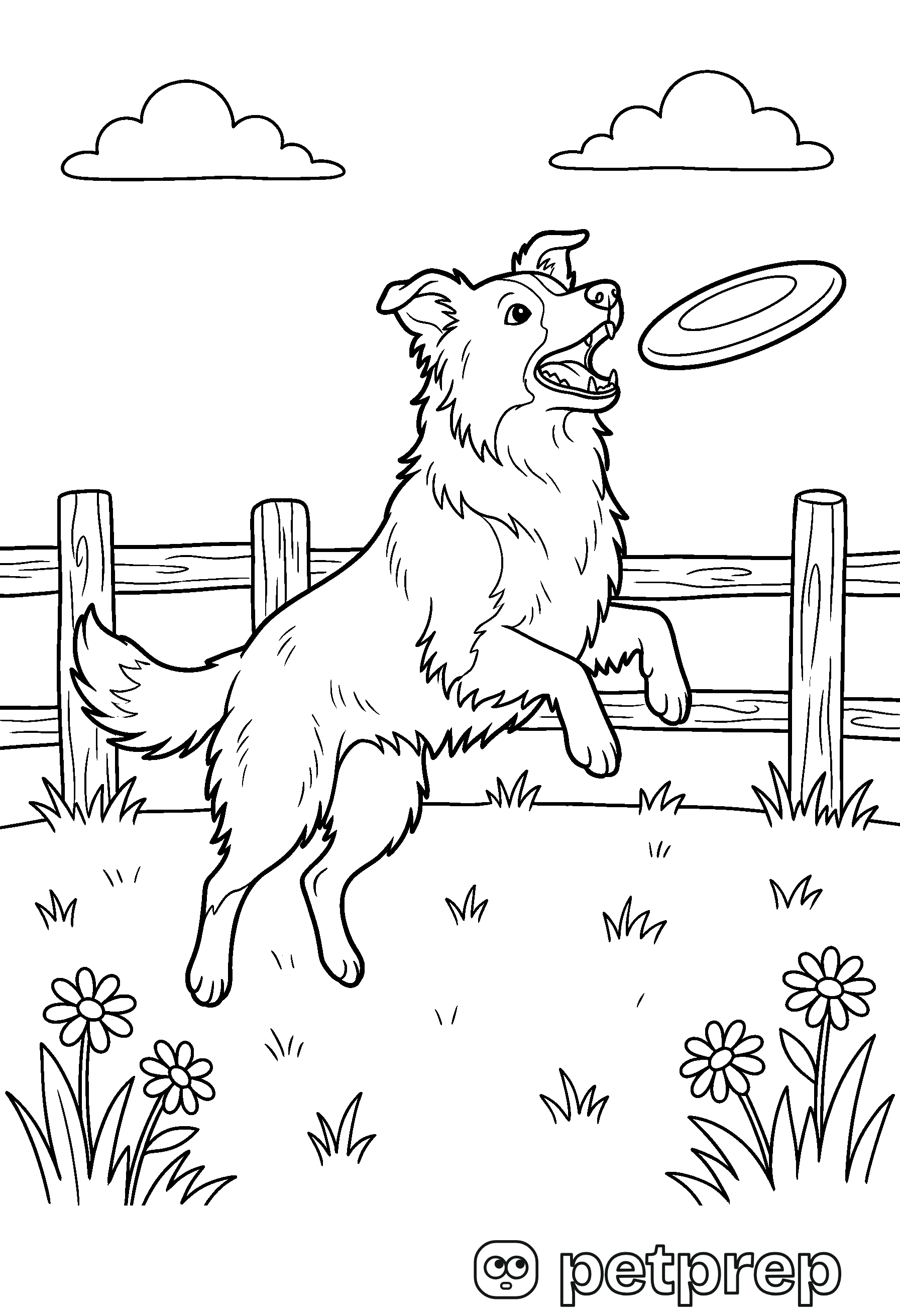 Colouring page: a border collie leaping to catch a flying disc in a meadow.