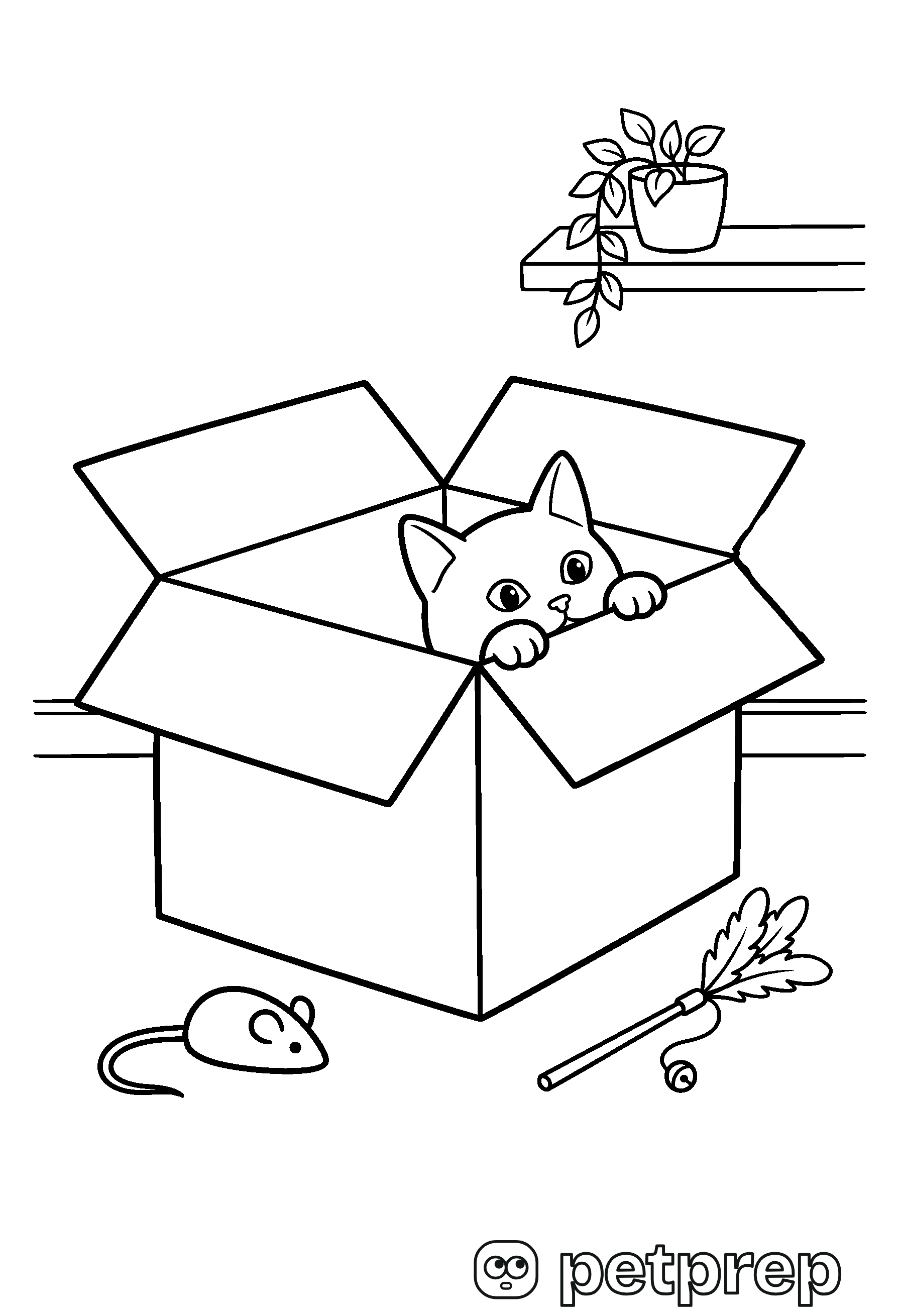 Colouring page: a cat peeking out of a cardboard box, with a toy mouse and a feather toy.