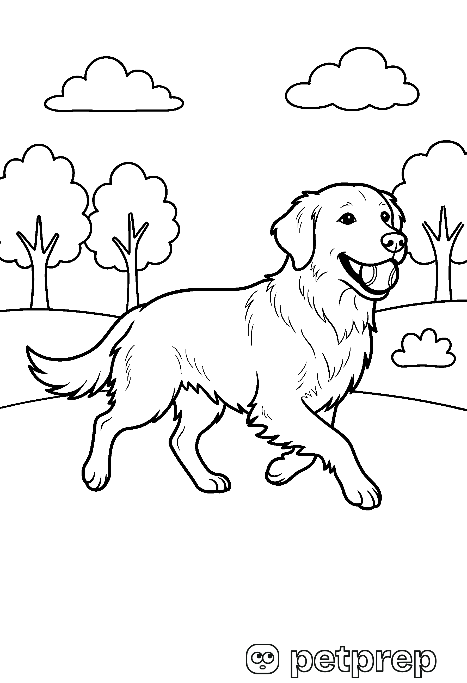 Colouring page: a golden retriever running across a park with a ball in its mouth.