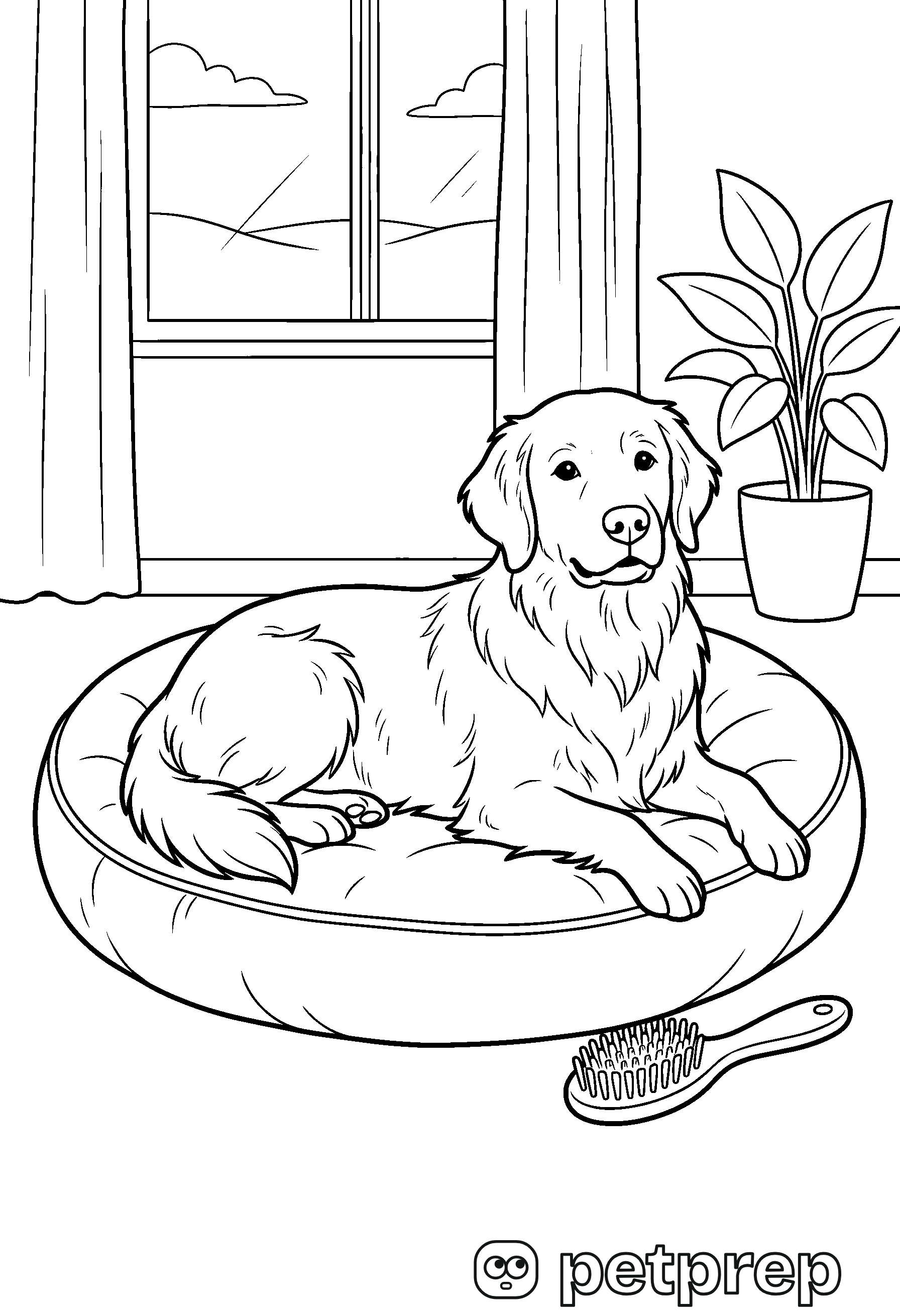 Colouring page: a golden retriever lying on a round dog bed, with a brush on the floor.