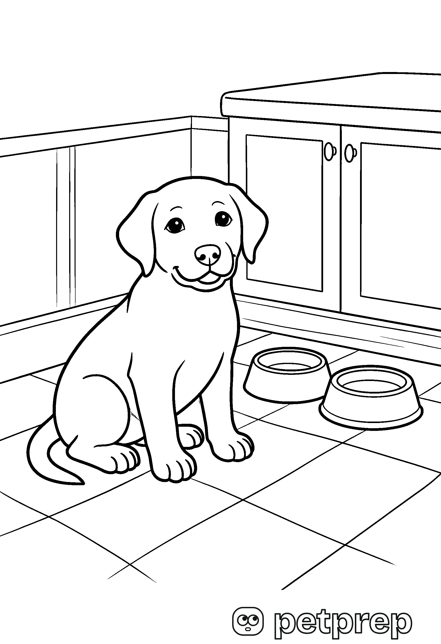 Colouring page: a labrador puppy sitting in a kitchen next to its food and water bowls.