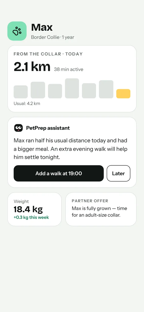 When it comes home: the AI assistant turns collar data into one clear suggestion.