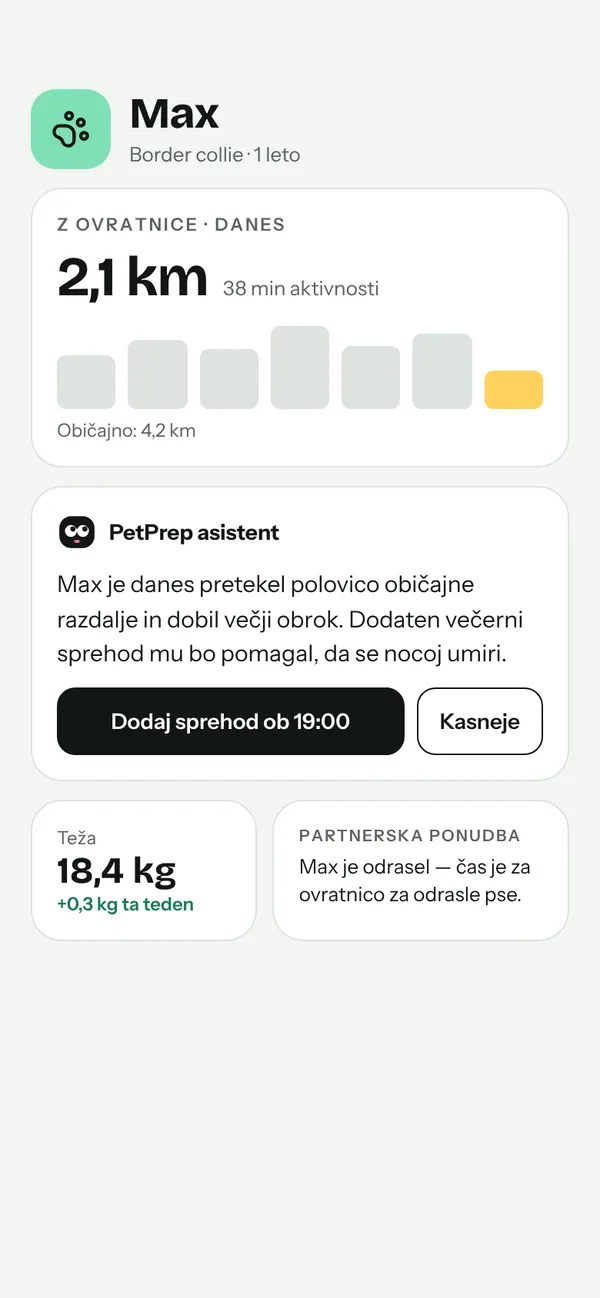 Ko pride domov: AI asistent podatke z ovratnice prevede v en jasen predlog.